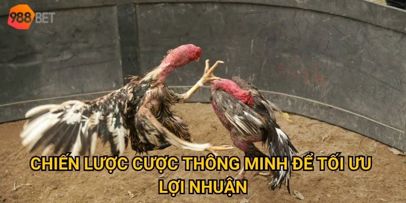 Chiến lược cược thông minh để tối ưu lợi nhuận