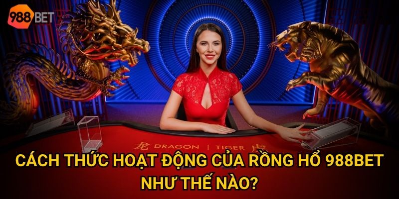 Vì sao rồng hổ trở thành trò chơi gây nghiện nhất tại 988Bet? 2 Cách thức hoạt động của rồng hổ 988Bet như thế nào?