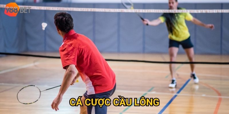 Ở đâu có thể cá cược cầu lông với tỷ lệ hấp dẫn như tại 988Bet?