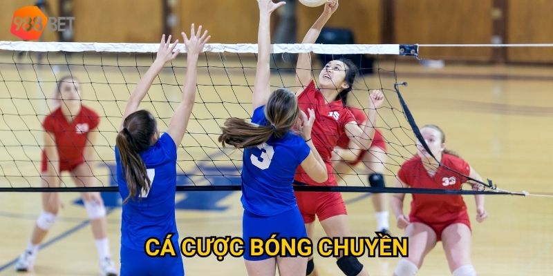 Vì sao cá cược bóng chuyền tại 988Bet lại trở thành xu hướng?