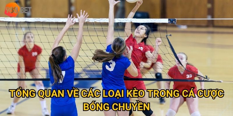 Vì sao cá cược bóng chuyền tại 988Bet lại trở thành xu hướng? 2 Tổng quan về các loại kèo trong cá cược bóng chuyền